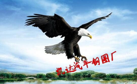 山東凱達汽車鋼圈廠 山東凱達汽車鋼圈廠